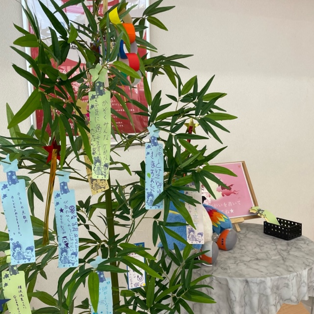20230629tanabata